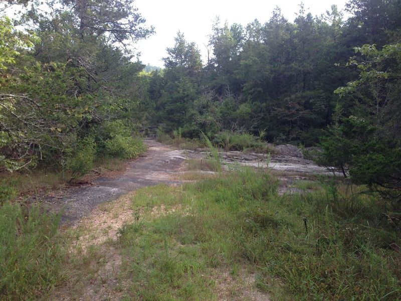 A rock slab in the North Sylamore Creek, as seen from the trail of the same name!