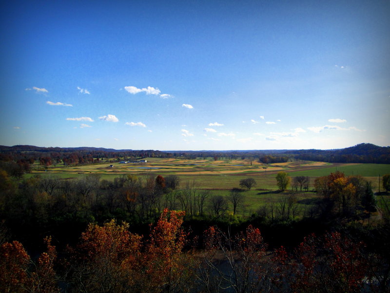 View from the top of Bluffview Trail.