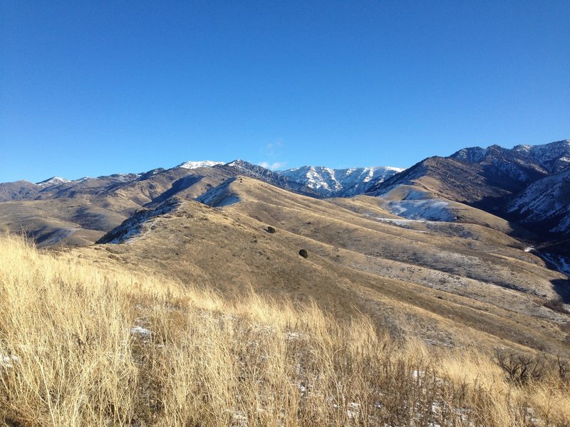 A view along the ridgeline that the Five Hills Trail follows and, up farther, the Mount Naomi ridgeline.