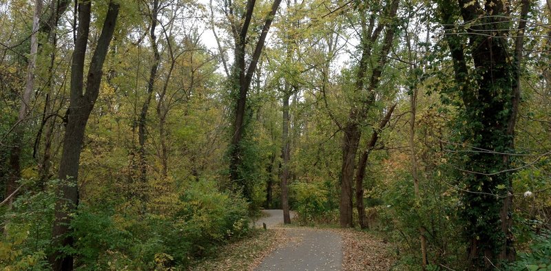 An autumn day along the Bottomland Trail.