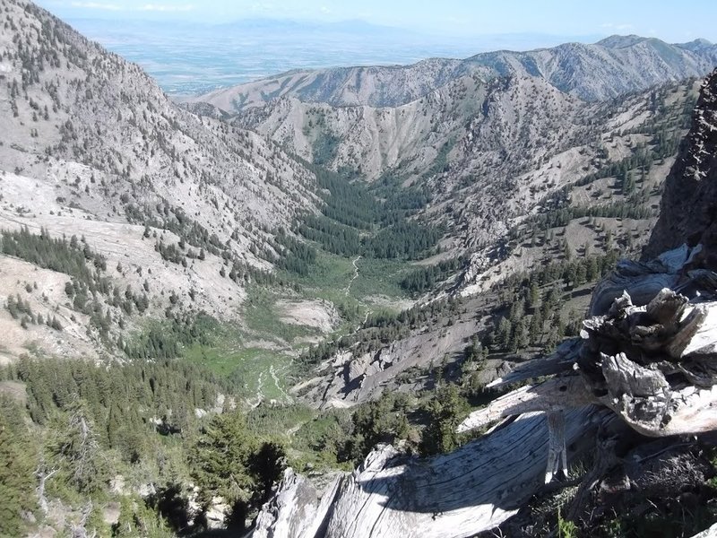 A view down into Birch Canyon and, farther back, Cache Valley as seen from the Naomi Peak National Recreation Trail.