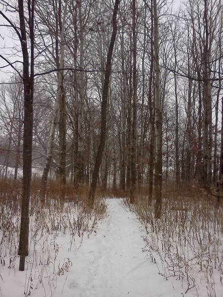 Old cell-phone image of the trail in winter.