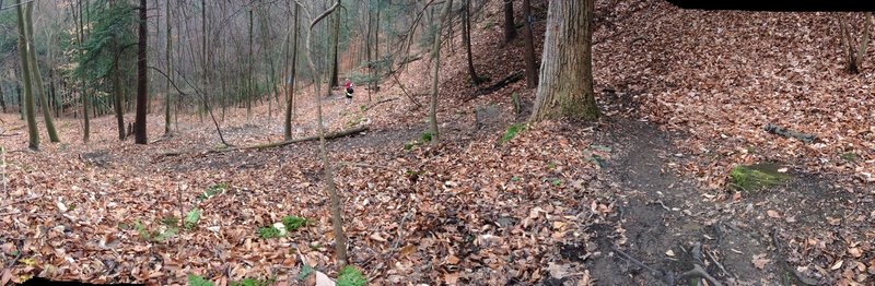 Steeper than it appears. Coming down the switchbacks, we had to be wary of rock steps that were dangerously slick.