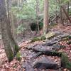 This is along Kildoo Trail. More of the same slick, wet boulders.