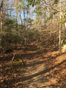 Prince William Park is a great spot for hitting the trail, especially if you are just starting out or want an easy day! Be aware of roots and rocks later down the trail.