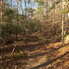 Prince William Park is a great spot for hitting the trail, especially if you are just starting out or want an easy day! Be aware of roots and rocks later down the trail.