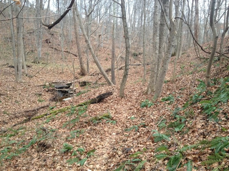 The Ewing Trail traveling along the hillside and following a small creek.