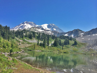 Beautiful views abound on the Wonderland Trail (2014).