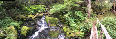 The Wonderland Trail comes close to Ipsut Creek.