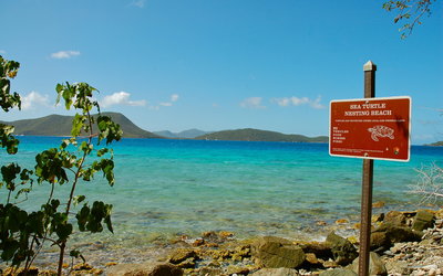 Leinster Bay Trail, Virgin Islands National Park.