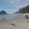 Hiking back towards Strawberry Point on the Third Beach to Toleak Point Trail.