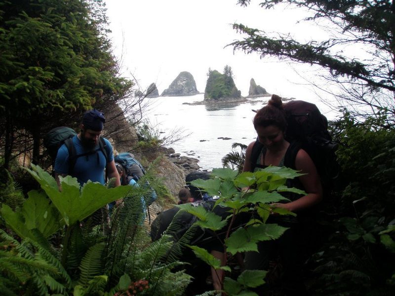 Up on top of the bluff after a climb from the beach back to the Third Beach Trail.