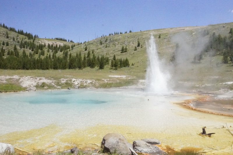 The Imperial Geyser, as seen from the Fairy Creek Trail in Yellowstone National Park.