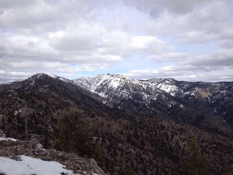 A view of Mount Jardine from the King Nature Park North Ridge Trail