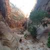 The beautiful view from Observation Point on the Wildcat Canyon Trail in Zion National Park