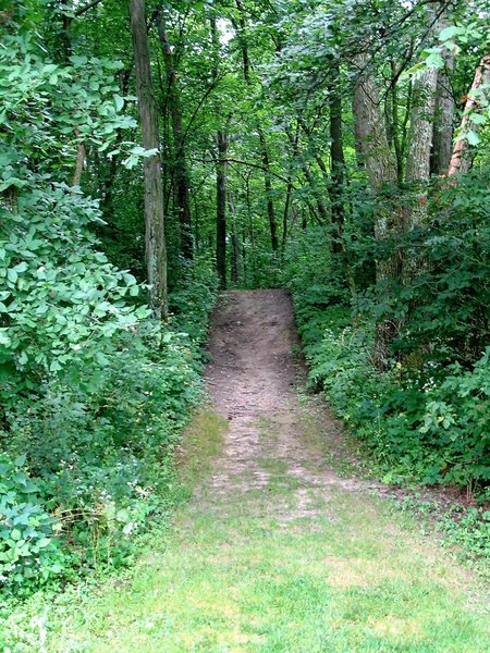 Ice Age Trail at Indian Lake County Park, Wisconsin.