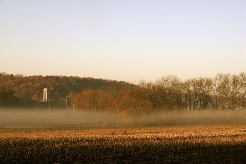 Morning fog at the Springfield Loop of the Ice Age Trail.