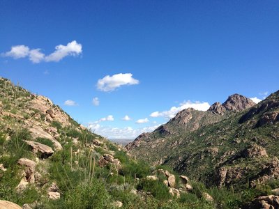 Looking north from one of the saddles on the way to the Romero Pools. Incredible views and desert vegetation can be found along this whole trail.