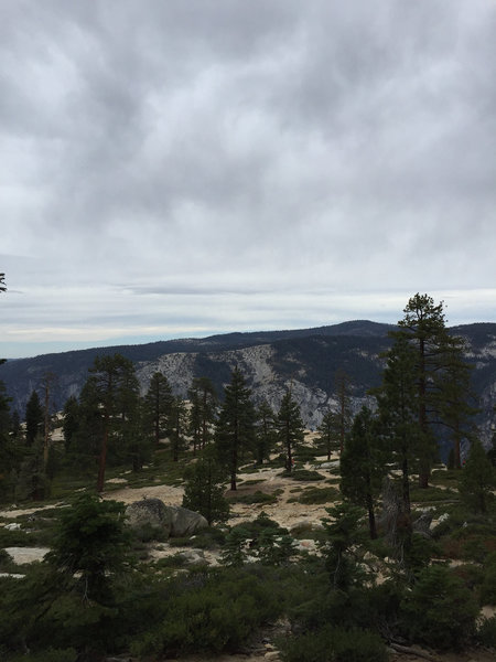 The last portion of our outing on the Pohono Trail, almost at the viewing point at Taft Point.