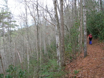 Climbing up hill at the start of the Boogerman Trail.