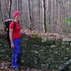 Stone wall at former homestead on the Boogerman Trail.