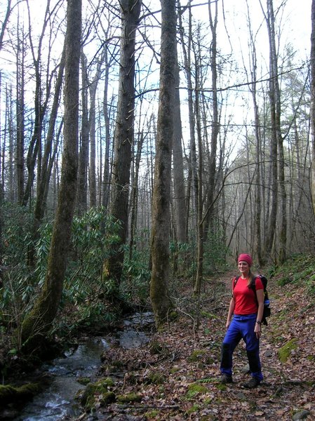 Creek near the end of the Boogerman Trail.