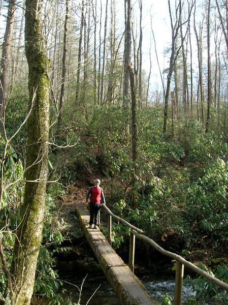 Bridge crossing on Caldwell Fork Trail.