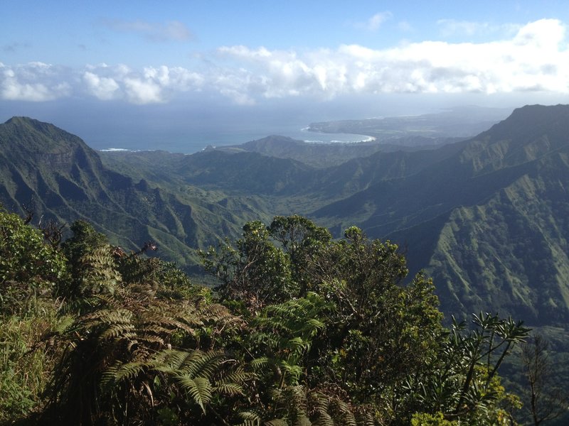 Hanalei Bay at the Kilohana lookout.