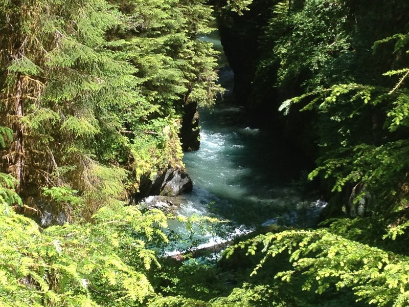 Quinault River.