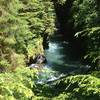 Quinault River.