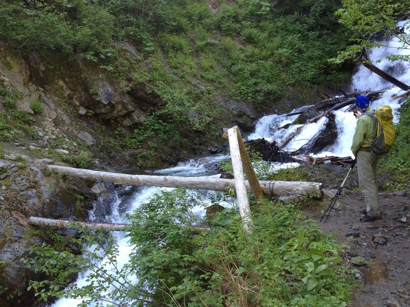 Contemplating the creek crossing.