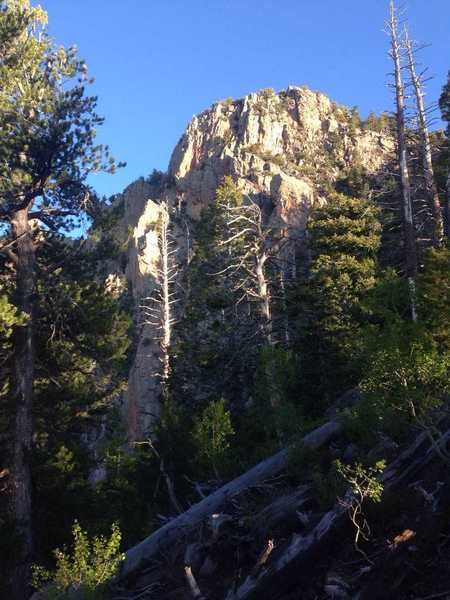 A view of some of the forests and cliffs up near the top of the Oak Grove Trail.