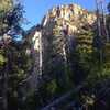 A view of some of the forests and cliffs up near the top of the Oak Grove Trail.