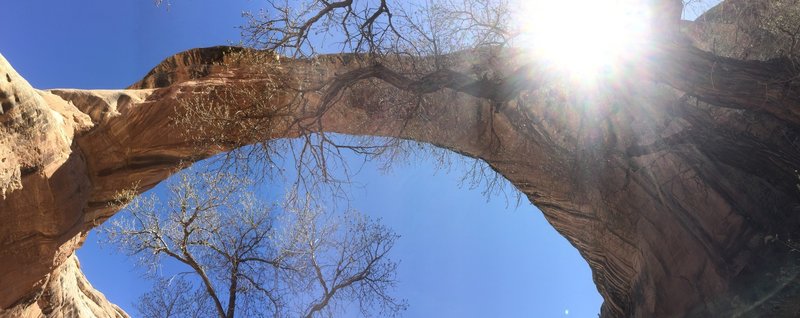 Sipapu Bridge towers overhead at Natural Bridges National Monument