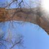 Sipapu Bridge towers overhead at Natural Bridges National Monument