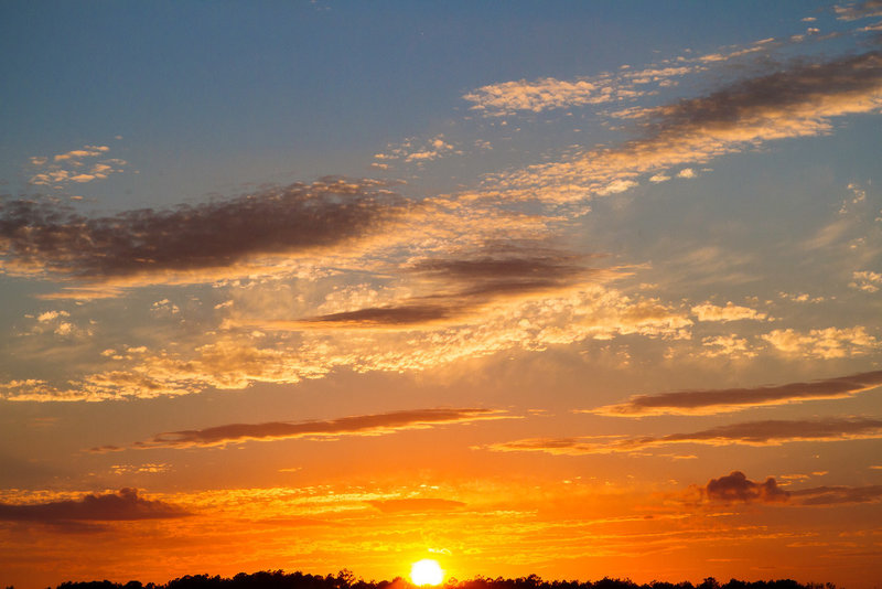 Assateague Island is a great location for sunsets and sun rises!