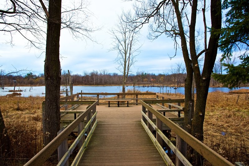 The marsh overlook on the Great Marsh Trail is an incredible location for birding.