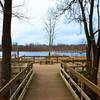 The marsh overlook on the Great Marsh Trail is an incredible location for birding.