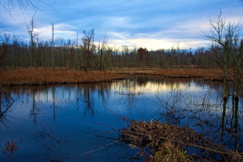 Great late fall view from the paved handicap-accessible Great Marsh Trail.