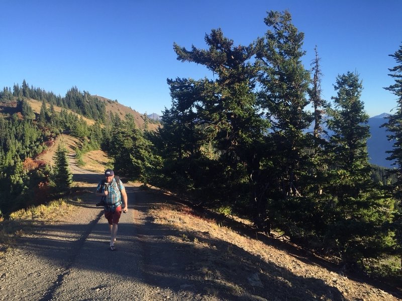 The trail to Hurricane Ridge.