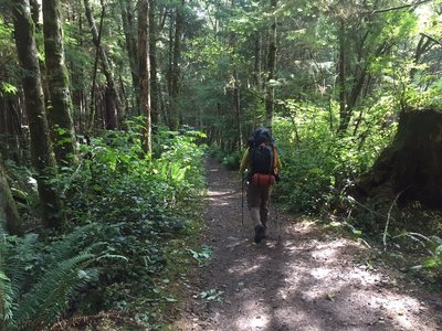 Nice wide trail to start out.