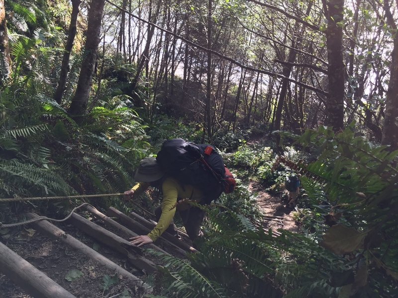 One of the rope ladders on the trail.