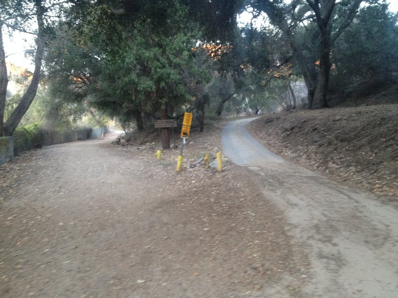 Intersection of Gabrielleno Trail (straight) and Fern Truck Trail/El Prieto (right).