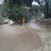 Intersection of Gabrielleno Trail (straight) and Fern Truck Trail/El Prieto (right).