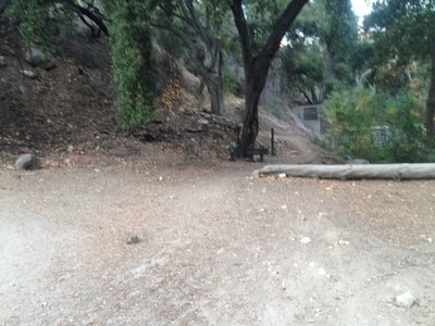 Intersection of El Prieto (right) and Fern Truck Trail (left).