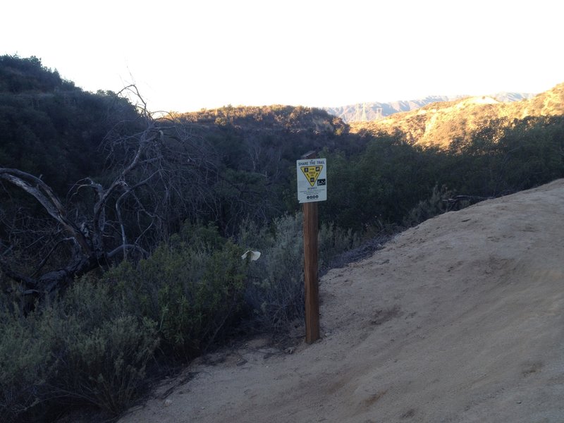 Looking down El Prieto Canyon from Brown Mountain Trail.