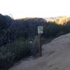 Looking down El Prieto Canyon from Brown Mountain Trail.