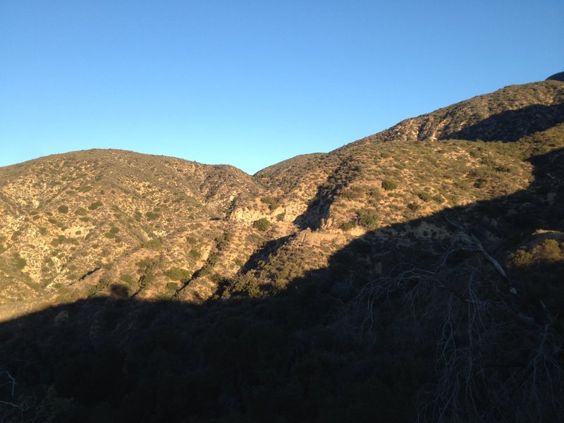 Looking up towards Brown Mountain saddle, where Fern Truck Trail and Brown Mountain Trail split.