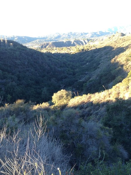 Millard Canyon from Brown Mountain Road.