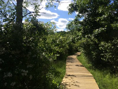 Boardwalks wind down the Marsh Trail.